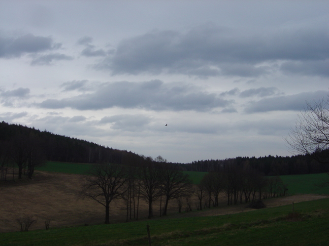 DSC07854